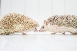 タロットを使って未練を手放す！未来への希望を見つける道しるべ