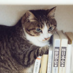 四柱推命でチャンスを上げる!元彼との復縁に有効にできるポイント4つ