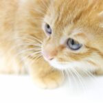 復縁と別れと同じことの繰り返しをしたくない!長続きするための解消法