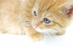 復縁と別れと同じことの繰り返しをしたくない!長続きするための解消法